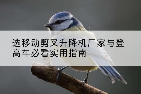 延安电动升降机厂家-选移动剪叉升降机厂家与登高车必看实用指南