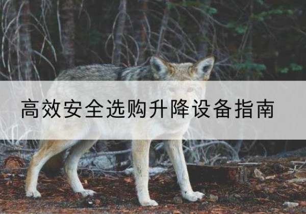 延安升降货梯厂家推荐-*安全选购升降设备指南