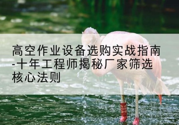 延安剪叉式升降机厂家-高空作业设备选购实战指南-十年工程师揭秘厂家筛选核心法则